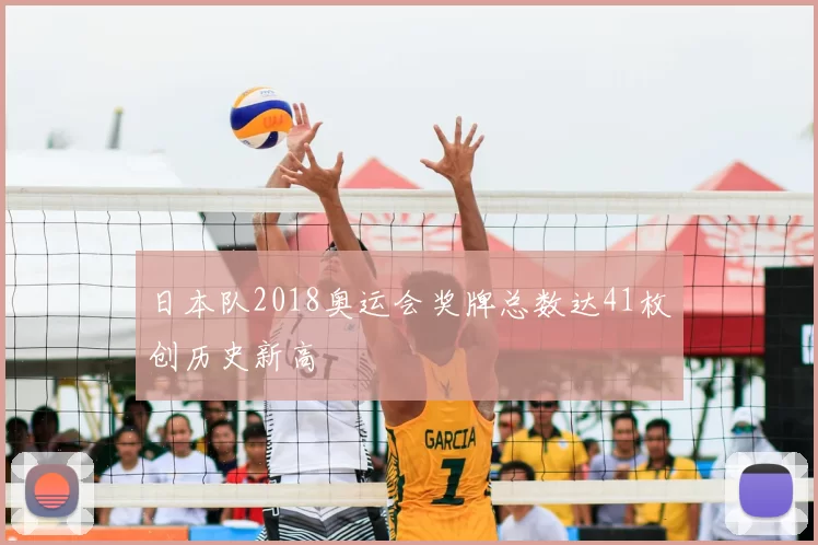 日本队2018奥运会奖牌总数达41枚创历史新高