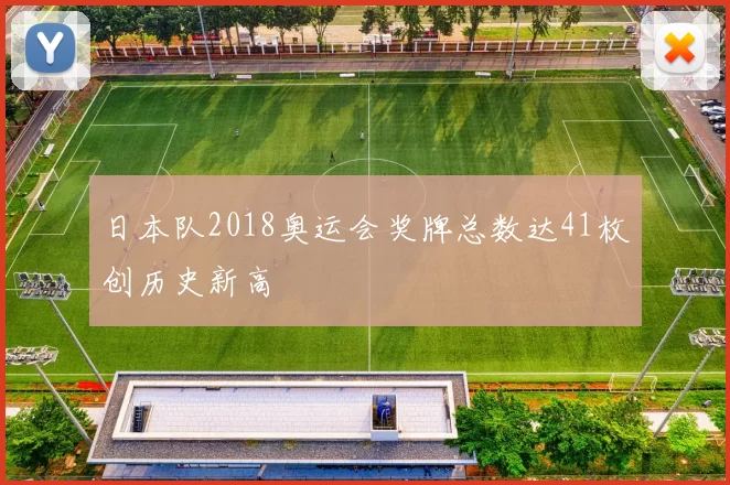 日本队2018奥运会奖牌总数达41枚创历史新高